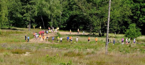 De heuvel op bij de Vlasakkers - halve marathon van Amersfoort