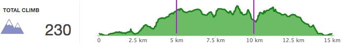 Zevenheuvelenloop hoogteverschillen route