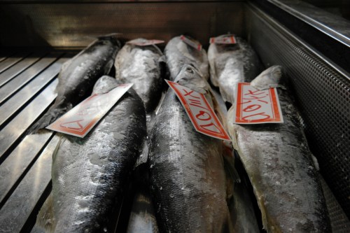 Tsukiji vismarkt Tokyo